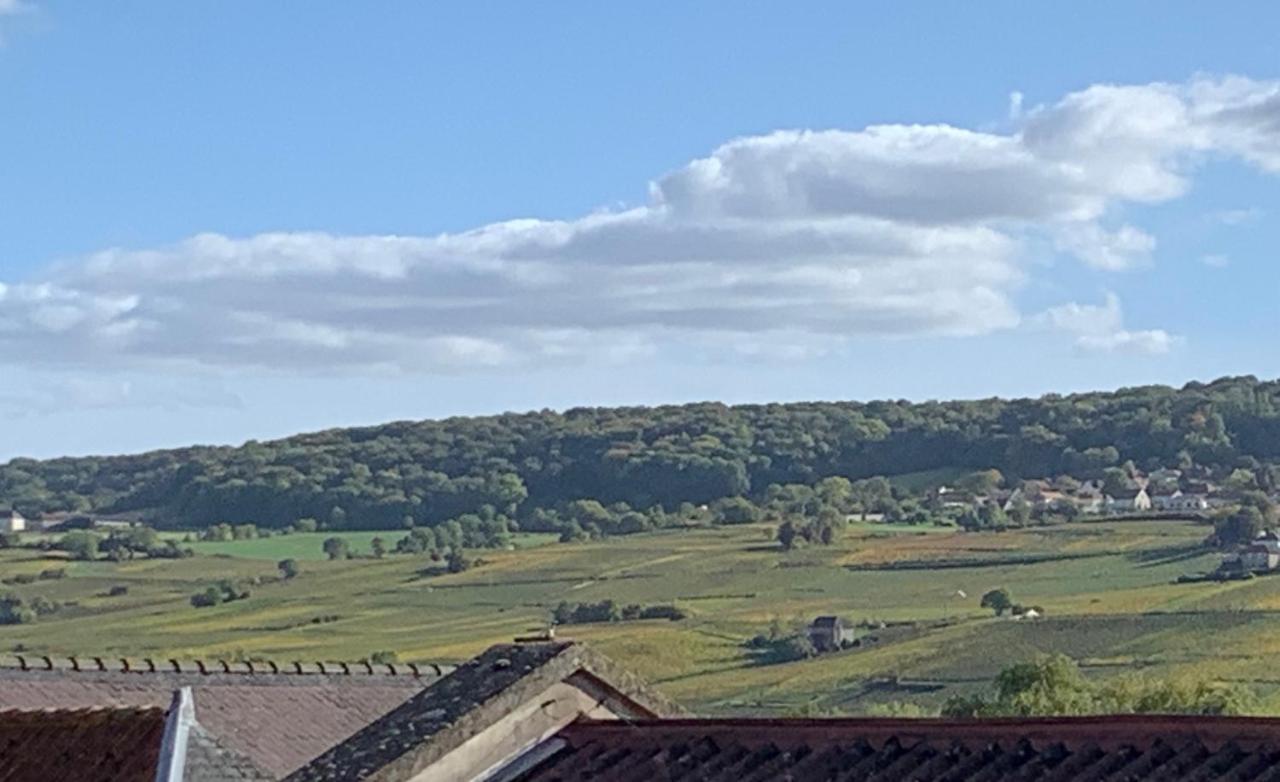 Le Claugi Villa Damery Kültér fotó